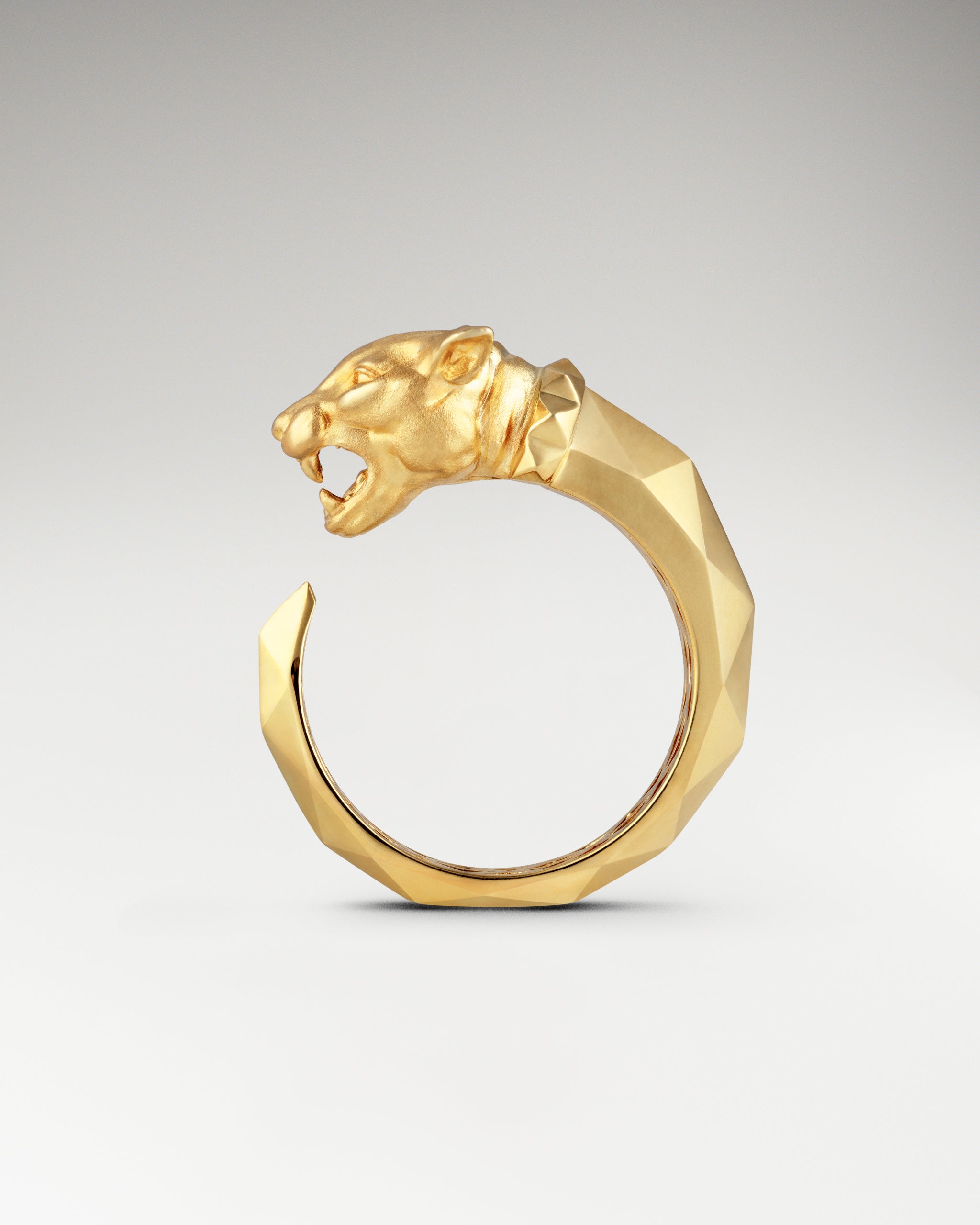 Lion products collection by truegem