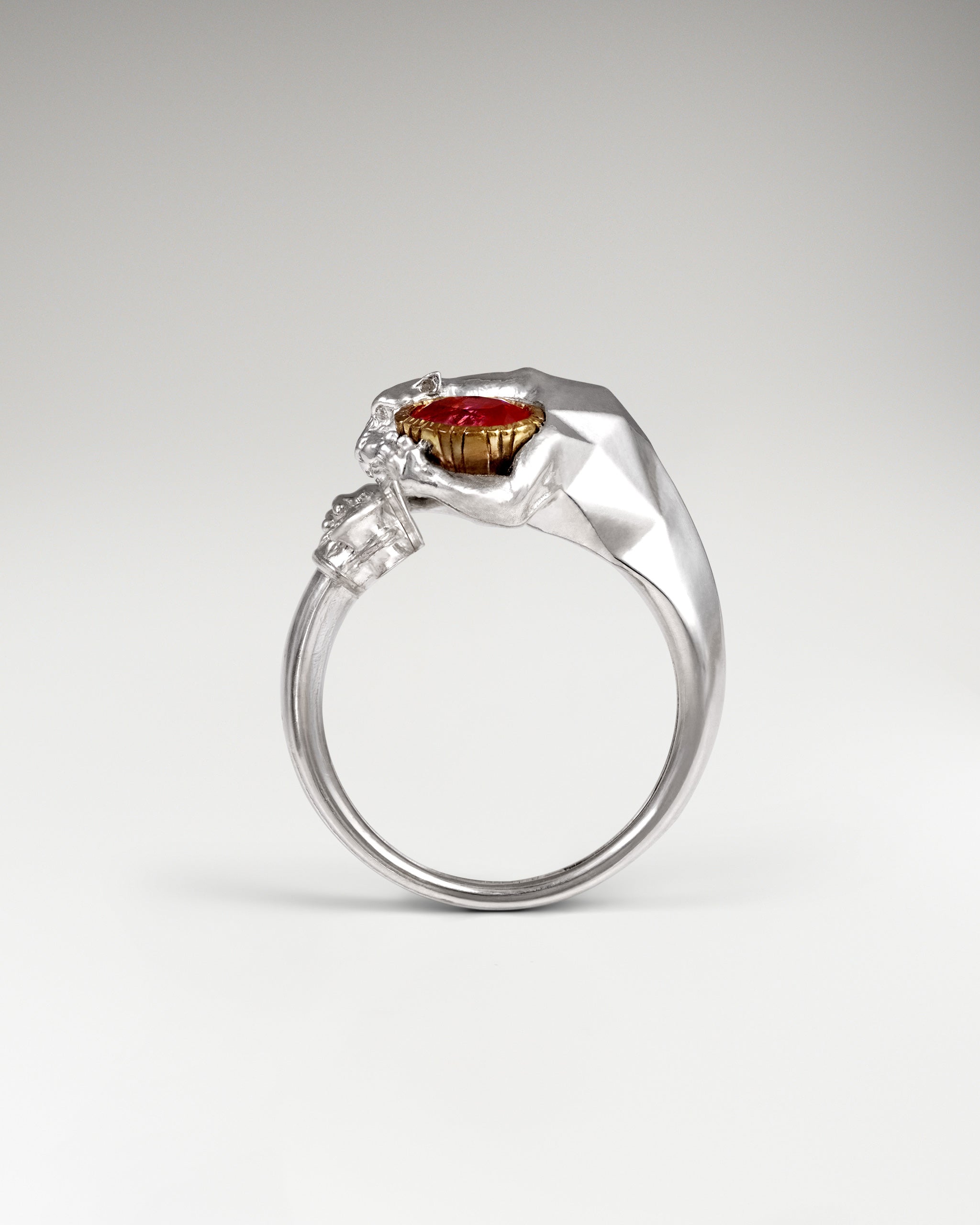 Dusk Guardian Ring In Gold Vermeil With Ruby