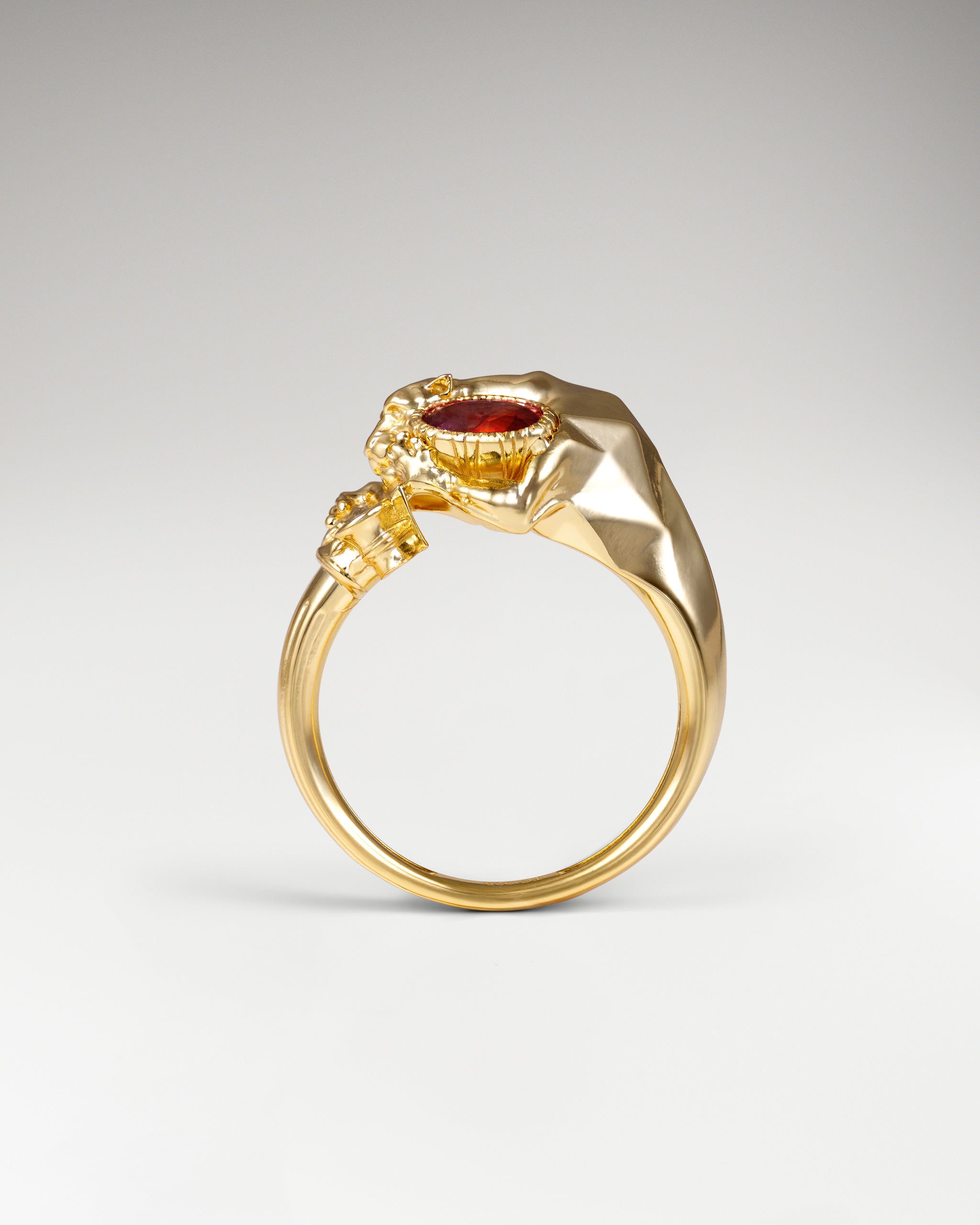 Dusk Guardian Ring In Gold Vermeil With Ruby