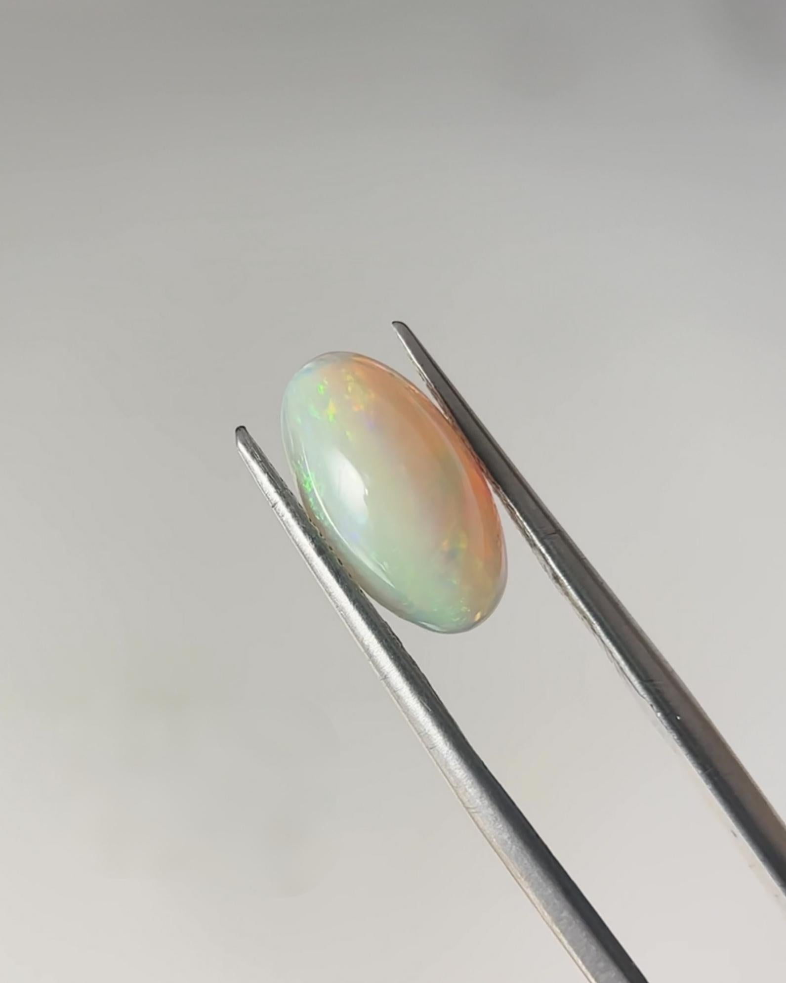 Oval Cabochon Natural Opal - 1.77ct / 2.491ct / 2.713ct