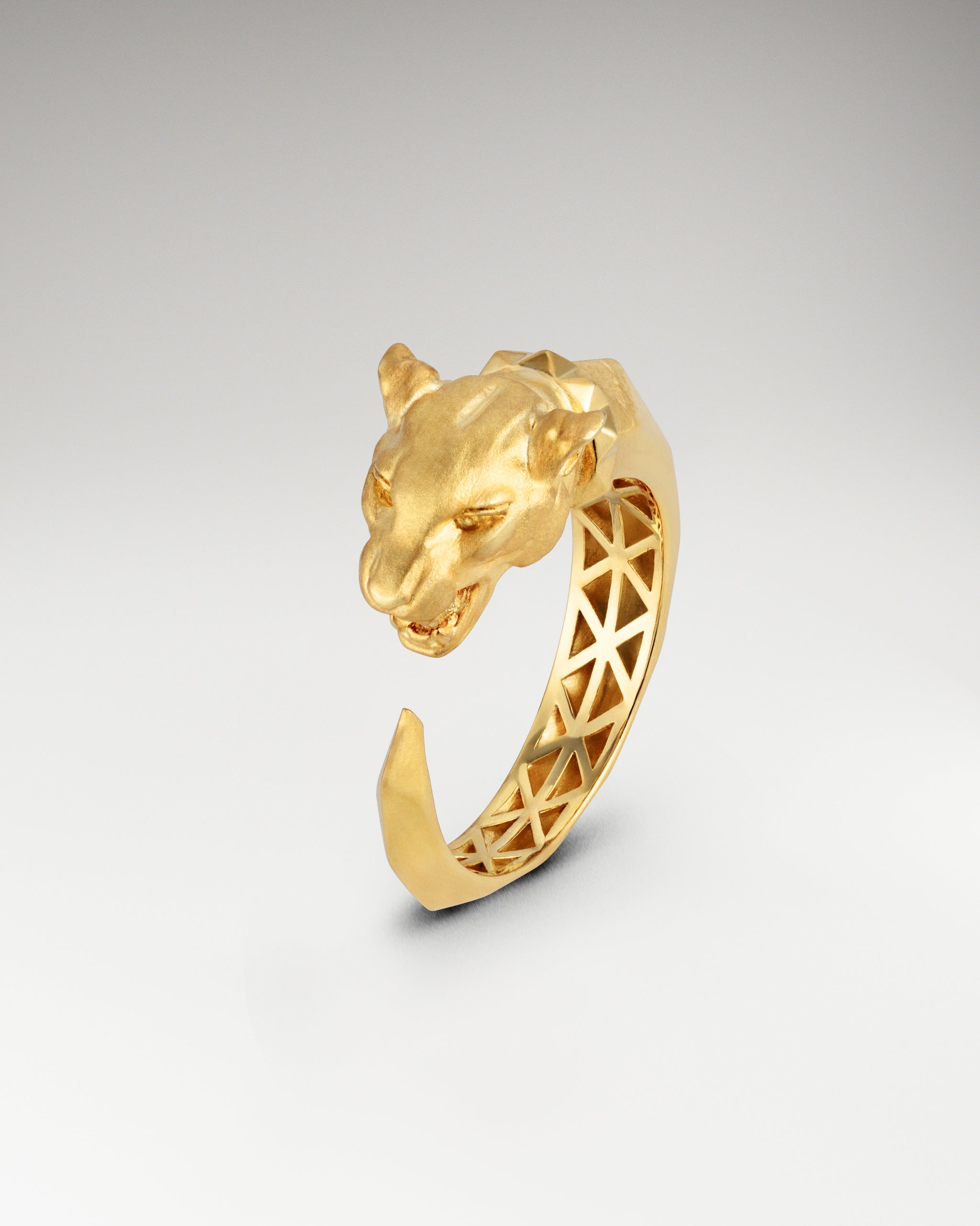 イエローシトリンとモアッサナイトをあしらったスターリングシルバーのサバンナ スピリット リング