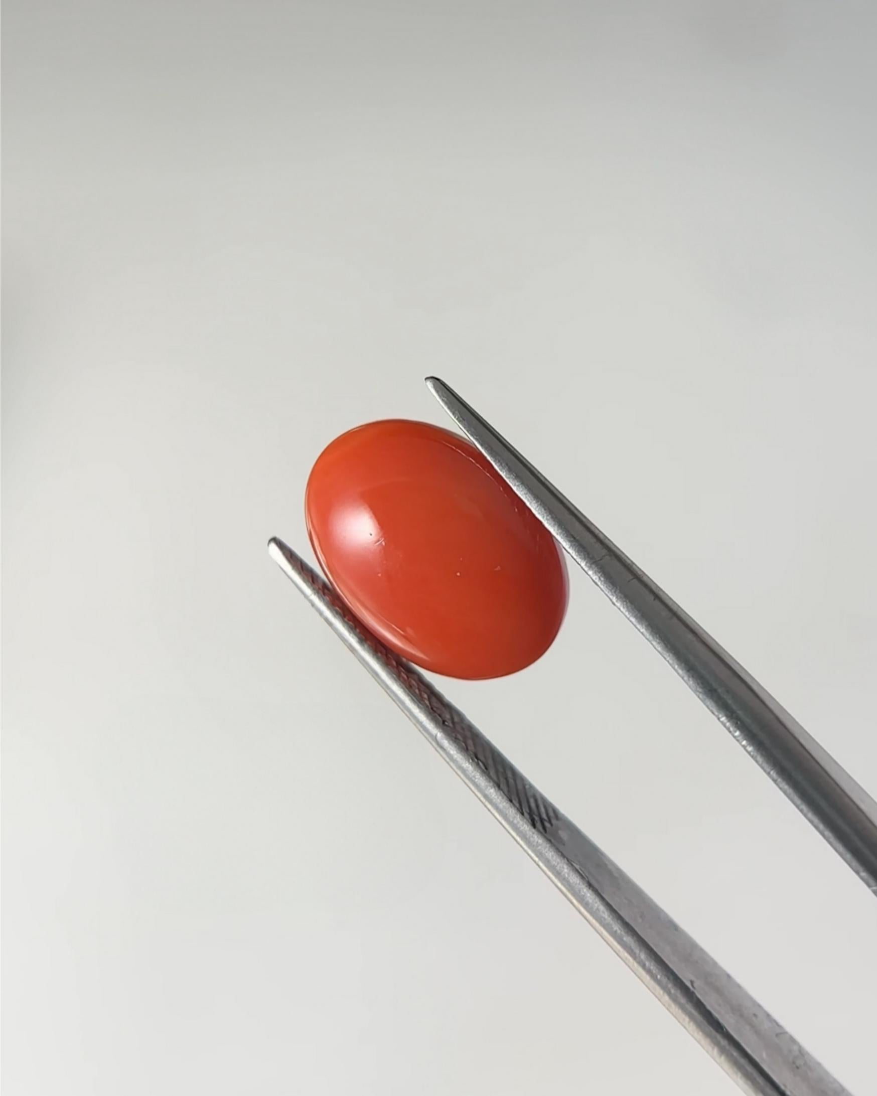 Oval Cabochon Natural Red Coral - 4.632ct