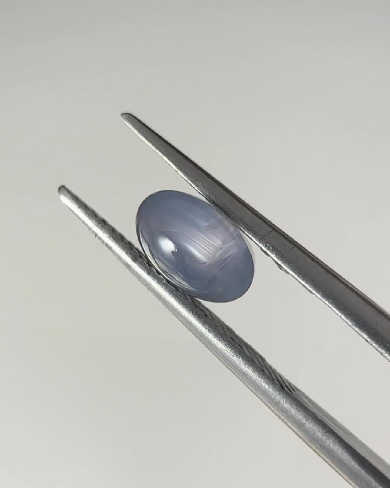 Oval Cabochon Natural Star Blue Sapphire - 2.528ct
